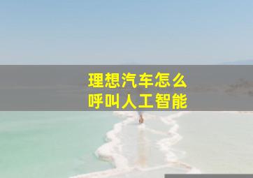 理想汽车怎么呼叫人工智能