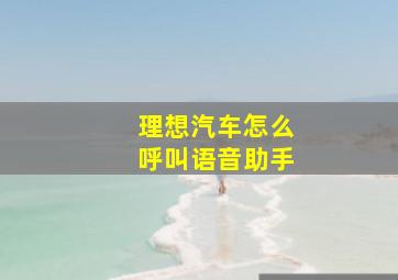 理想汽车怎么呼叫语音助手