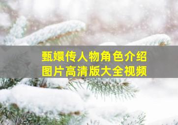 甄嬛传人物角色介绍图片高清版大全视频