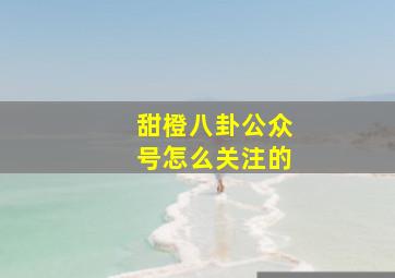 甜橙八卦公众号怎么关注的