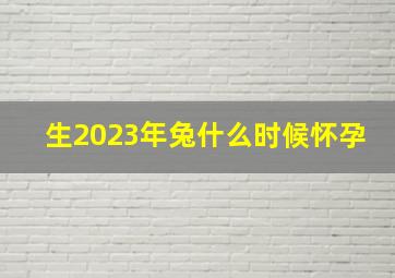 生2023年兔什么时候怀孕