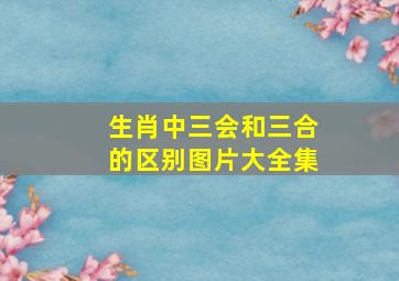 生肖中三会和三合的区别图片大全集