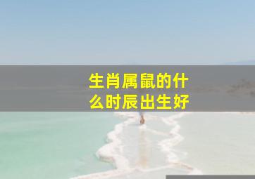 生肖属鼠的什么时辰出生好