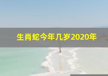 生肖蛇今年几岁2020年