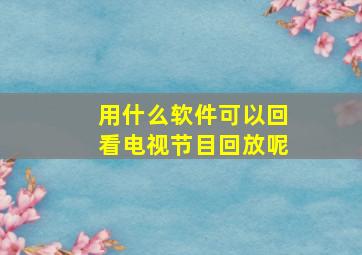 用什么软件可以回看电视节目回放呢