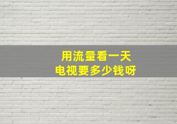 用流量看一天电视要多少钱呀