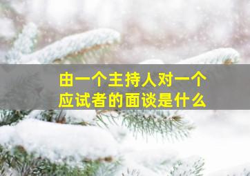 由一个主持人对一个应试者的面谈是什么