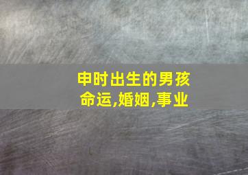 申时出生的男孩命运,婚姻,事业