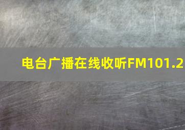 电台广播在线收听FM101.2