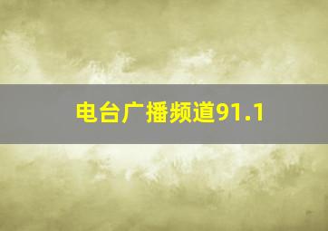 电台广播频道91.1