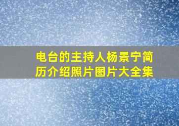 电台的主持人杨景宁简历介绍照片图片大全集