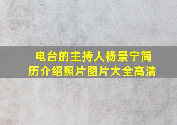 电台的主持人杨景宁简历介绍照片图片大全高清