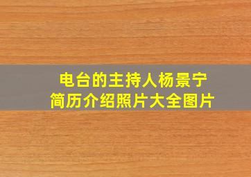 电台的主持人杨景宁简历介绍照片大全图片