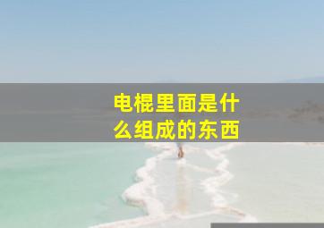 电棍里面是什么组成的东西