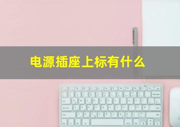 电源插座上标有什么