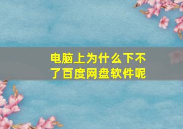 电脑上为什么下不了百度网盘软件呢