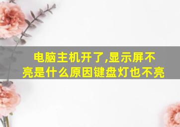 电脑主机开了,显示屏不亮是什么原因键盘灯也不亮