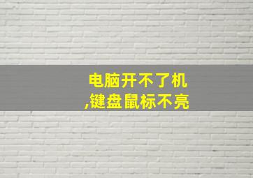 电脑开不了机,键盘鼠标不亮