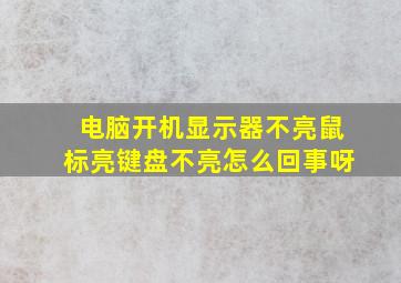 电脑开机显示器不亮鼠标亮键盘不亮怎么回事呀