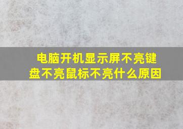 电脑开机显示屏不亮键盘不亮鼠标不亮什么原因