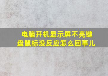 电脑开机显示屏不亮键盘鼠标没反应怎么回事儿