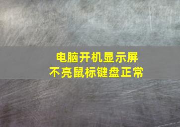 电脑开机显示屏不亮鼠标键盘正常