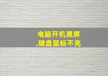 电脑开机黑屏,键盘鼠标不亮