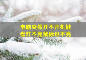 电脑突然开不开机键盘灯不亮鼠标也不亮