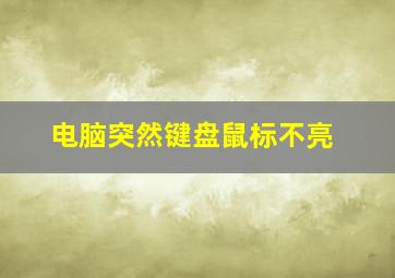 电脑突然键盘鼠标不亮