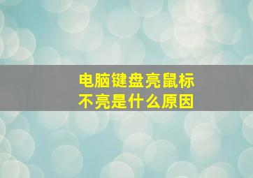 电脑键盘亮鼠标不亮是什么原因