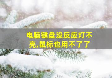 电脑键盘没反应灯不亮,鼠标也用不了了