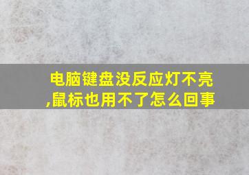 电脑键盘没反应灯不亮,鼠标也用不了怎么回事