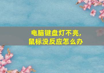 电脑键盘灯不亮,鼠标没反应怎么办