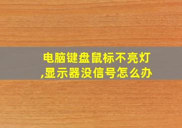 电脑键盘鼠标不亮灯,显示器没信号怎么办