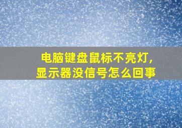 电脑键盘鼠标不亮灯,显示器没信号怎么回事