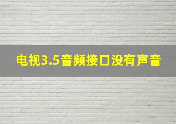 电视3.5音频接口没有声音