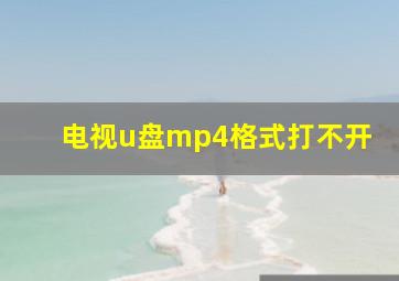 电视u盘mp4格式打不开