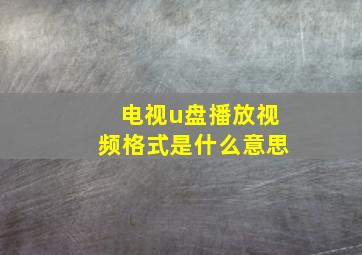 电视u盘播放视频格式是什么意思