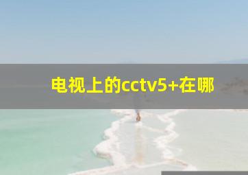 电视上的cctv5+在哪