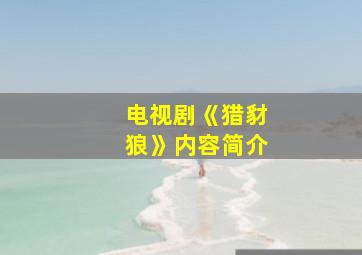 电视剧《猎豺狼》内容简介