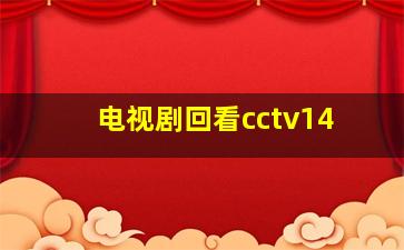 电视剧回看cctv14