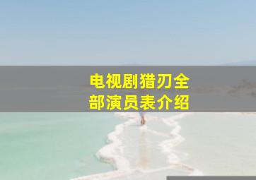 电视剧猎刃全部演员表介绍