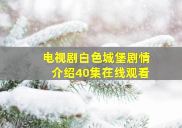 电视剧白色城堡剧情介绍40集在线观看