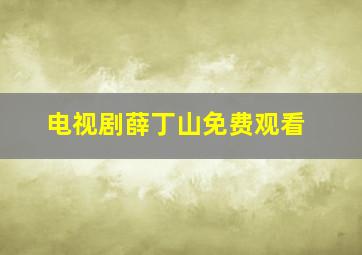 电视剧薛丁山免费观看