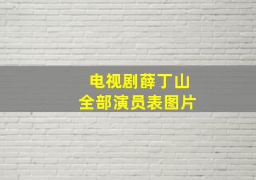 电视剧薛丁山全部演员表图片