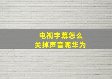 电视字幕怎么关掉声音呢华为