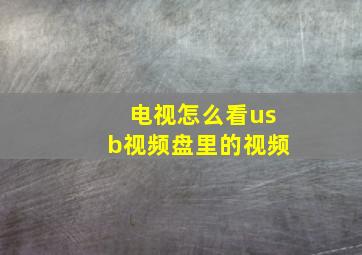 电视怎么看usb视频盘里的视频