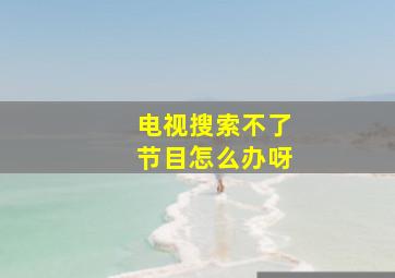 电视搜索不了节目怎么办呀