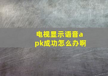 电视显示语音apk成功怎么办啊