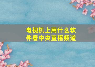 电视机上用什么软件看中央直播频道